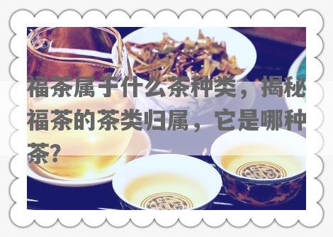 福茶属于什么茶种类，揭秘福茶的茶类归属，它是哪种茶？