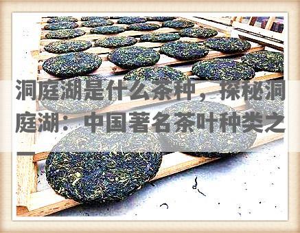 洞庭湖是什么茶种，探秘洞庭湖：中国著名茶叶种类之一