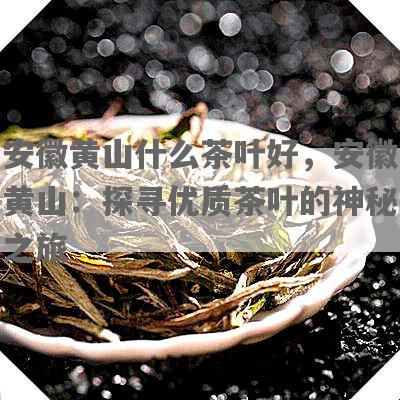 安徽黄山什么茶叶好，安徽黄山：探寻优质茶叶的神秘之旅