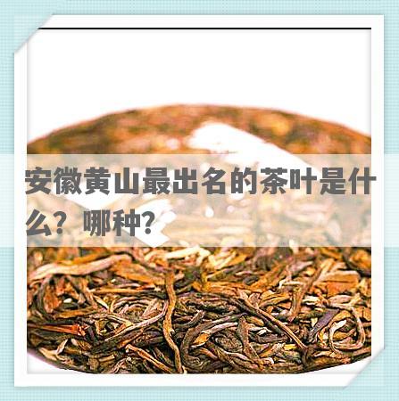安徽黄山最出名的茶叶是什么？哪种？