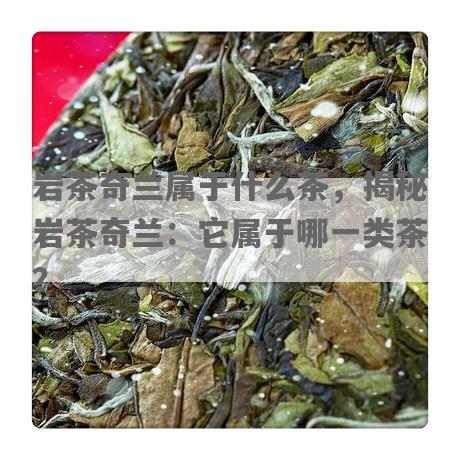 岩茶奇兰属于什么茶，揭秘岩茶奇兰：它属于哪一类茶？