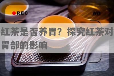 红茶是否养胃？探究红茶对胃部的影响