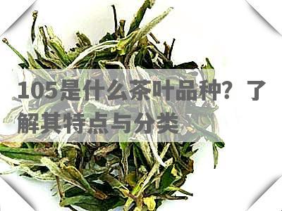 105是什么茶叶品种？了解其特点与分类