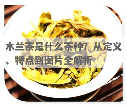 木兰茶是什么茶种？从定义、特点到图片全解析