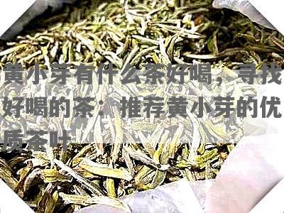 黄小芽有什么茶好喝，寻找好喝的茶：推荐黄小芽的优质茶叶