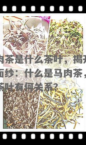 马肉茶是什么茶叶，揭开神秘面纱：什么是马肉茶，它与茶叶有何关系？