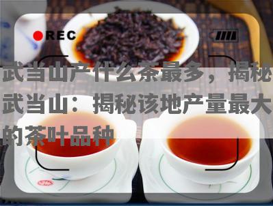 武当山产什么茶最多，揭秘武当山：揭秘该地产量更大的茶叶品种