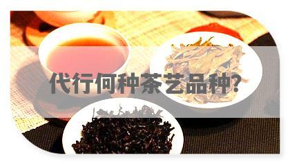 代行何种茶艺品种？