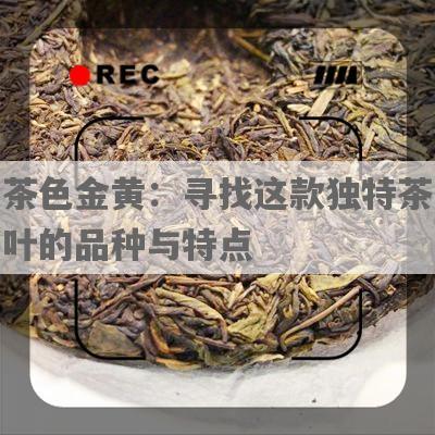 茶色金黄：寻找这款独特茶叶的品种与特点
