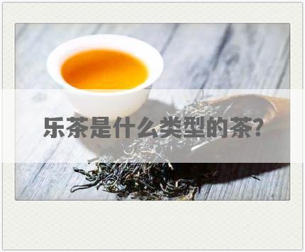 乐茶是什么类型的茶？
