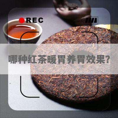 哪种红茶暖胃养胃效果？