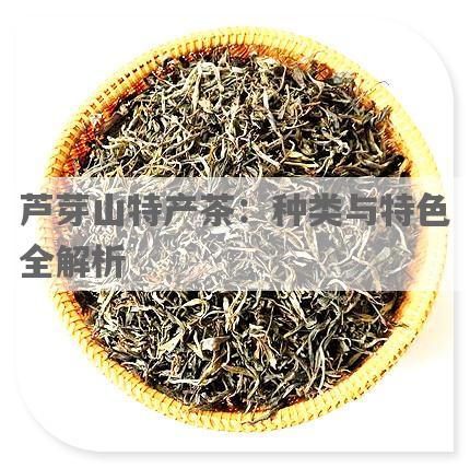 芦芽山特产茶：种类与特色全解析