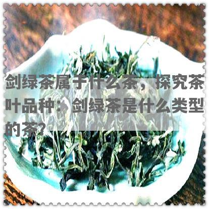 剑绿茶属于什么茶，探究茶叶品种：剑绿茶是什么类型的茶？