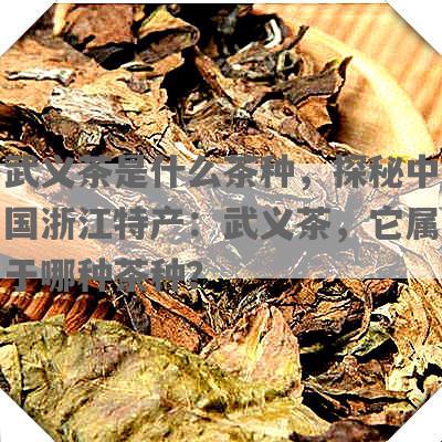 武义茶是什么茶种，探秘中国浙江特产：武义茶，它属于哪种茶种？