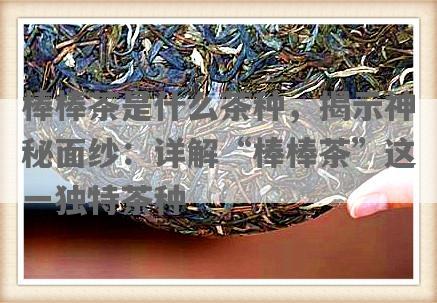 棒棒茶是什么茶种，揭示神秘面纱：详解“棒棒茶”这一独特茶种