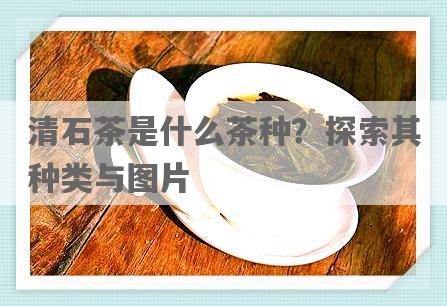 清石茶是什么茶种？探索其种类与图片