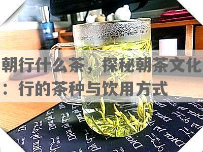 朝行什么茶，探秘朝茶文化：行的茶种与饮用方式