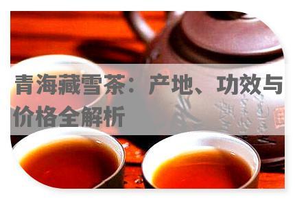 青海藏雪茶：产地、功效与价格全解析
