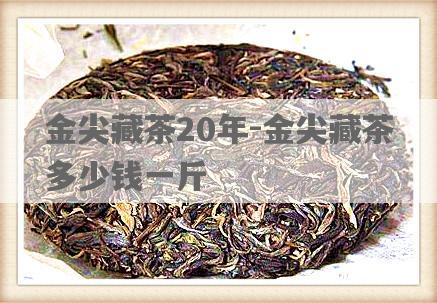 金尖藏茶20年-金尖藏茶多少钱一斤
