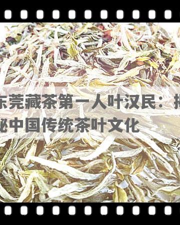 东莞藏茶之一人叶汉民：揭秘中国传统茶叶文化