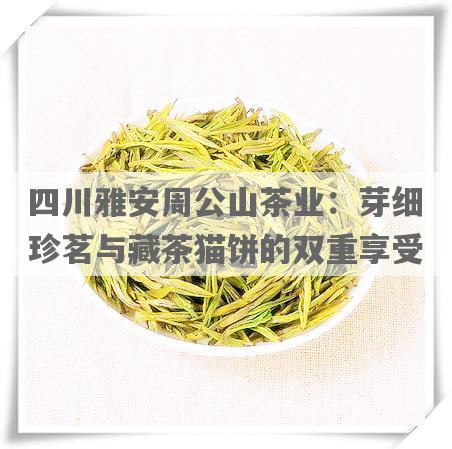 四川雅安周公山茶业：芽细珍茗与藏茶猫饼的双重享受