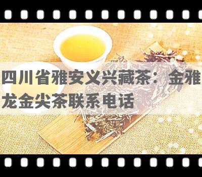 四川省雅安义兴藏茶：金雅龙金尖茶联系电话