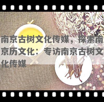 南京古树文化传媒，探索南京历文化：专访南京古树文化传媒