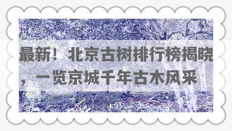 最新！北京古树排行榜揭晓，一览京城千年古木风采