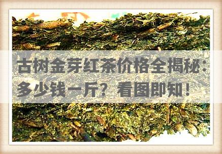 古树金芽红茶价格全揭秘：多少钱一斤？看图即知！