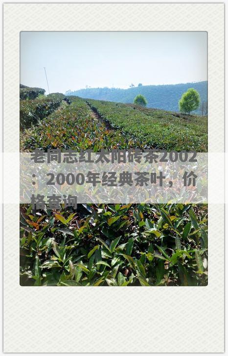 老同志红太阳砖茶2002：2000年经典茶叶，价格查询