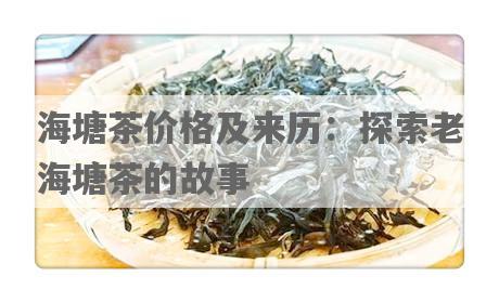 海塘茶价格及来历：探索老海塘茶的故事