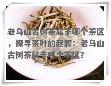 老乌山古树茶属于哪个茶区，探寻茶叶的起源：老乌山古树茶属于哪个茶区？