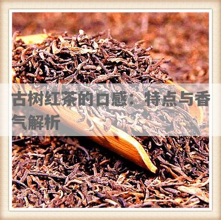 古树红茶的口感：特点与香气解析