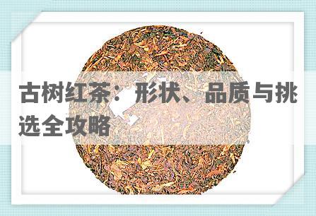 古树红茶：形状、品质与挑选全攻略