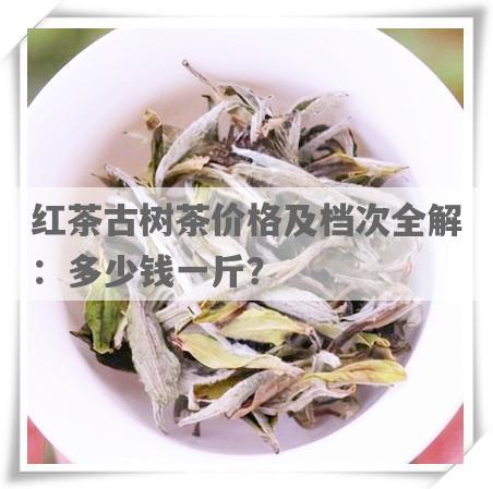 红茶古树茶价格及档次全解：多少钱一斤？