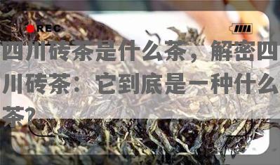 四川砖茶是什么茶，解密四川砖茶：它到底是一种什么茶？