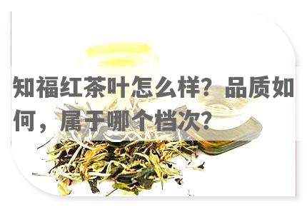 知福红茶叶怎么样？品质如何，属于哪个档次？