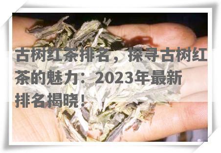 古树红茶排名，探寻古树红茶的魅力：2023年最新排名揭晓！