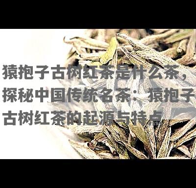 猿抱子古树红茶是什么茶，探秘中国传统名茶：猿抱子古树红茶的起源与特点