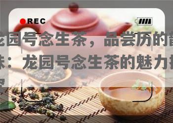 龙园号念生茶，品尝历的韵味：龙园号念生茶的魅力探究